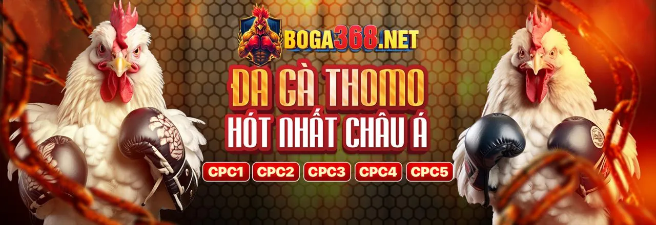 Cá Cược Thể Thao Trực Tuyến jn88 trang chủ chính thức