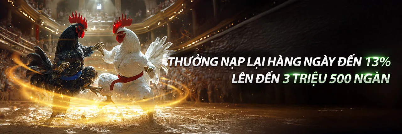 Đá Gà Trực Tuyến kịch tính tại jn88 trang chủ chính thức